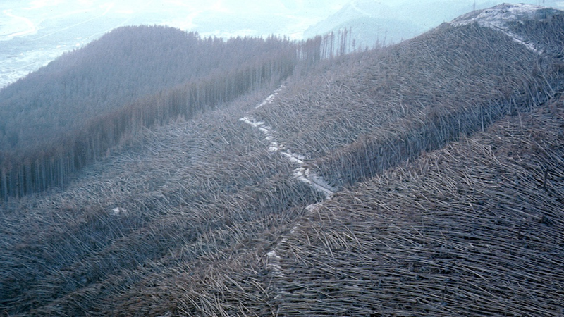 Illustration for article titled Breathtaking and Horrifying Images of Nature's Destructive Power